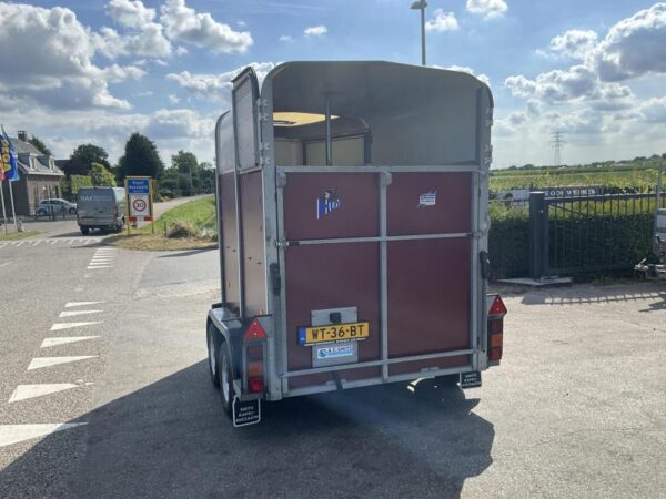 IFOR Williams Trailer Paardentrailer