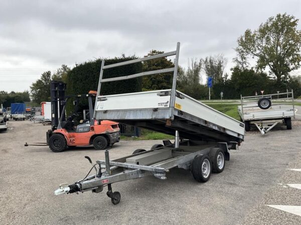 Henra KP353518 Kipper