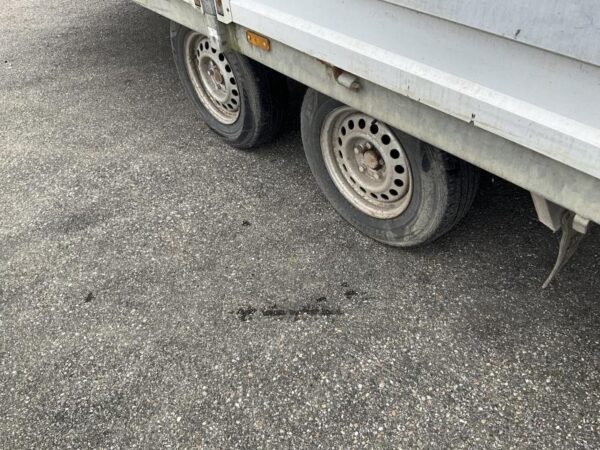 Saris PL 506 3500 HD Plateauwagen